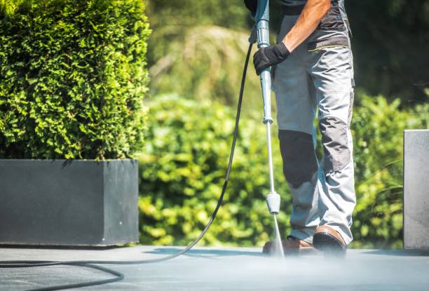 Best Building Exterior Pressure Washing in Lmar, DE
